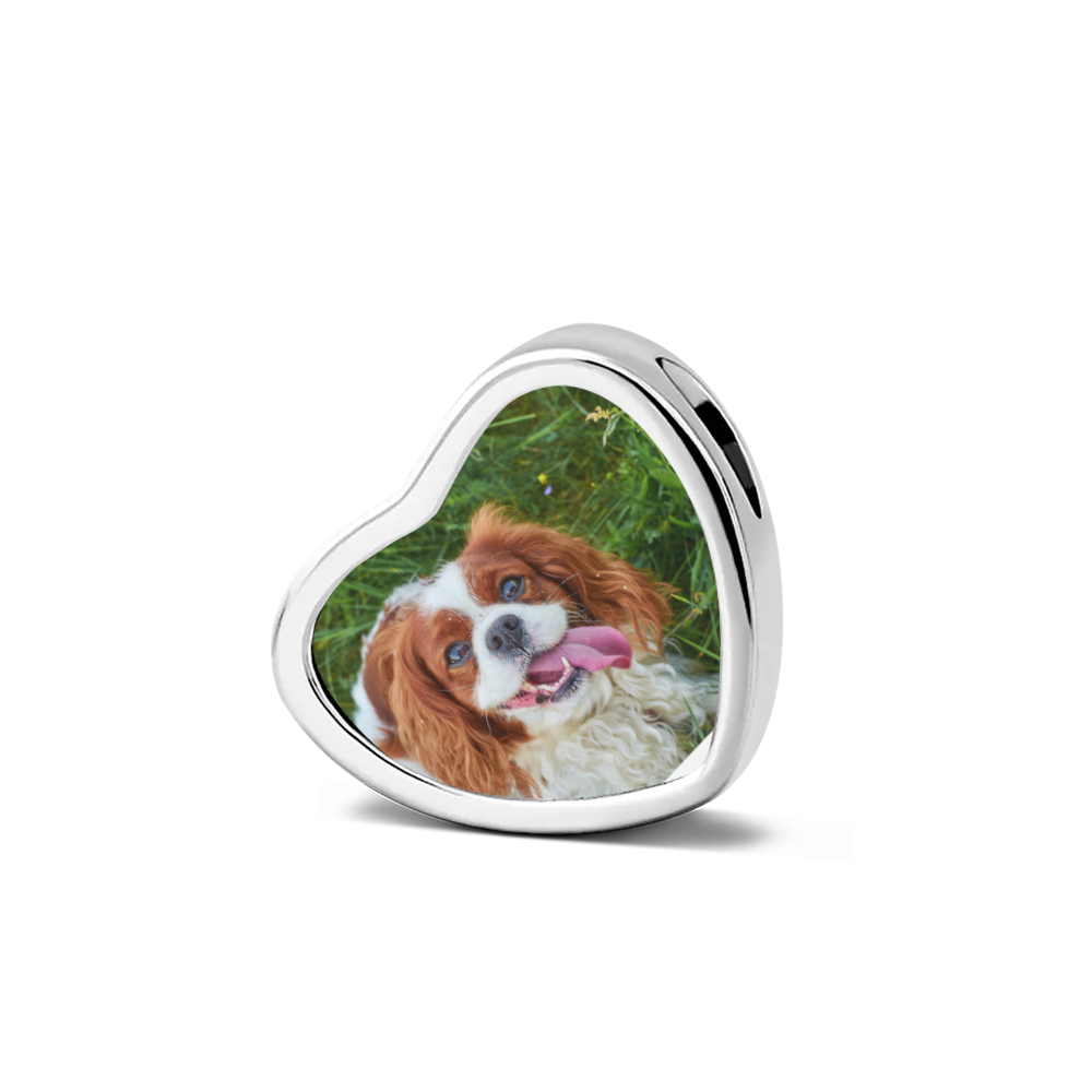 King Charles Infinity Print Heart Charm