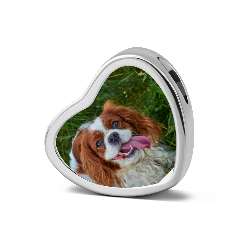 King Charles Infinity Print Heart Charm
